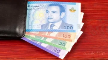 بشرى سارة موعد صرف رواتب المتقاعدين والمالية تحدد اليوم المنتظر 1